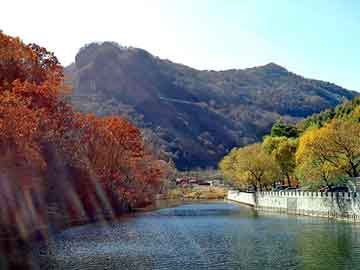 正版澳门天天开彩大全，本田飞度论坛